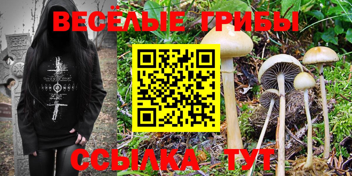 Псилоцибиновые грибы MAGIC MUSHROOMS  Псилоцибиновые грибы мицелий  Рязань  сколько стоит  Вход с VPN 