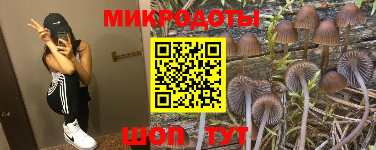Псилоцибиновые грибы Psilocybine cubensis Рязань